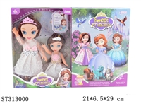 ST313000 - 