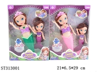 ST313001 - 