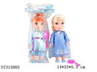 ST313005 - 