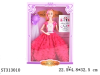ST313010 - 