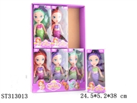 ST313013 - 