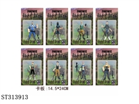 ST313913 - 