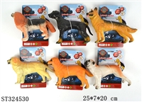 ST324530 - 